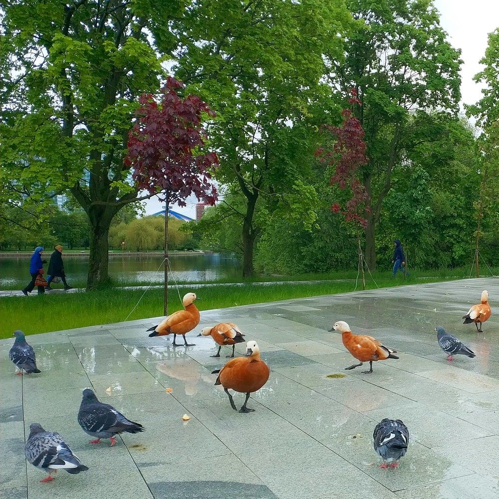 Photograph by Виолетта Шанина