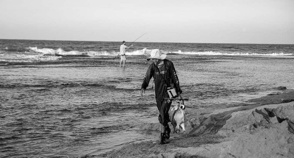 Фотография автора David Botha