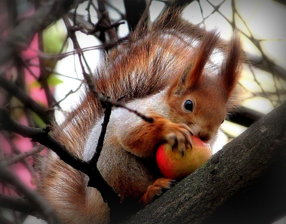 Photograph by Galina Tsmyg