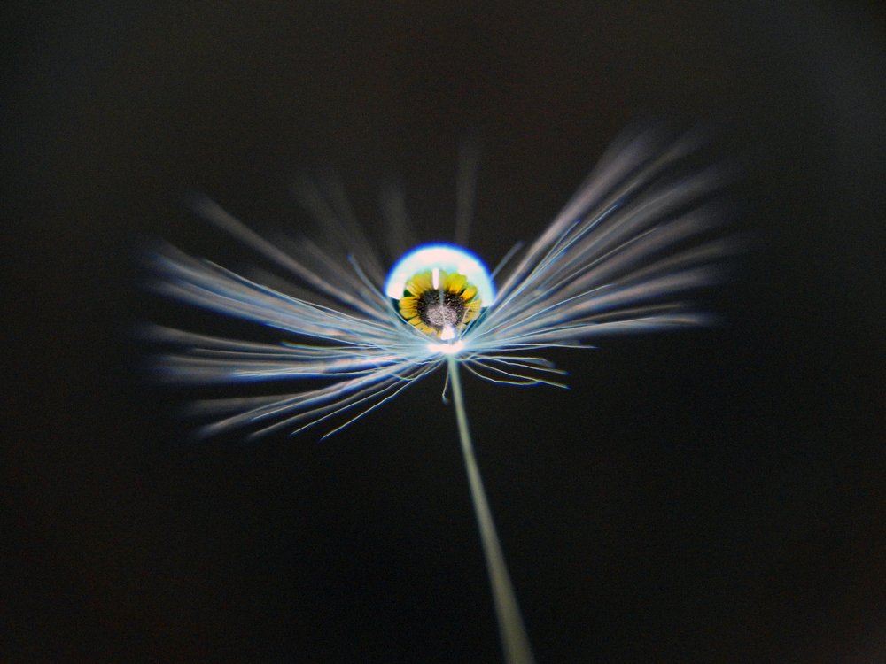 Photograph by Сергей Шипулин