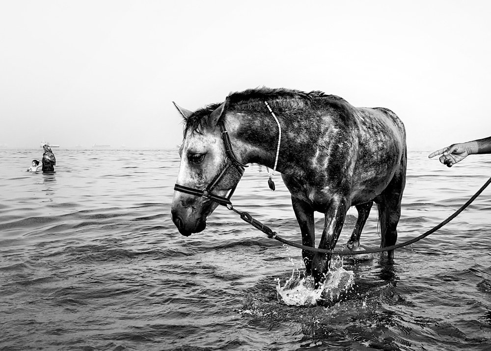 A horse full of sorrow