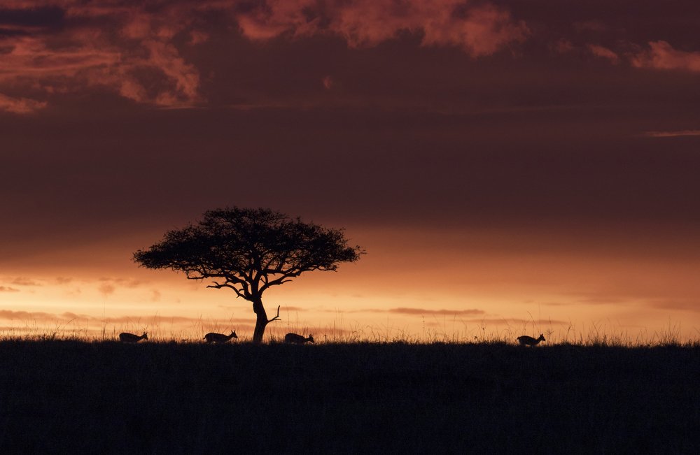 Photograph by Nishant Vyas