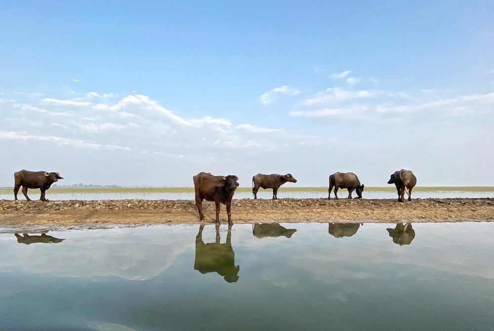 Photograph by Nishant Vyas