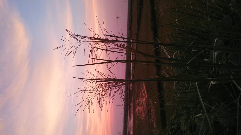 Photograph by Isfaqur Rahman