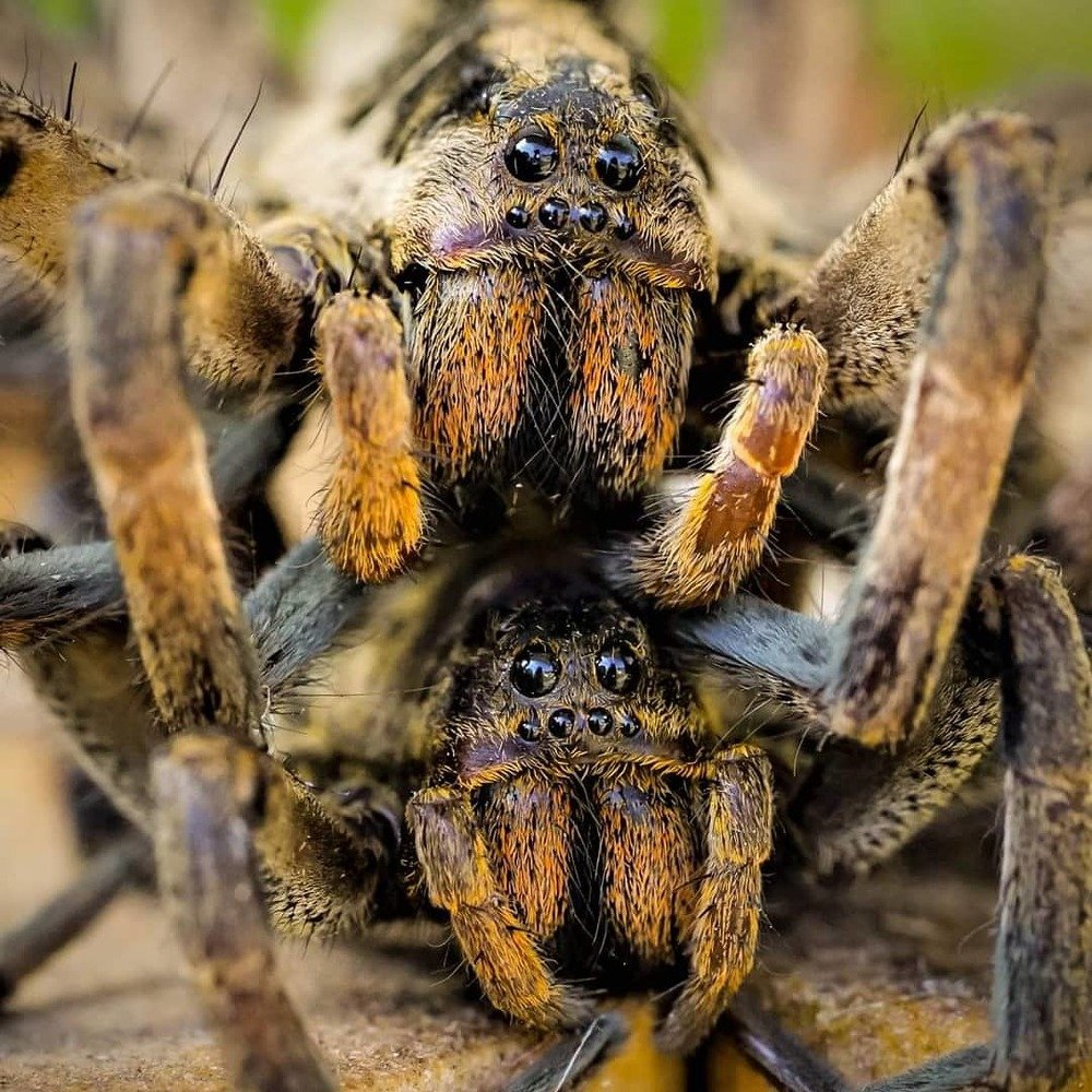 Photograph by Karina Elena Bergagna