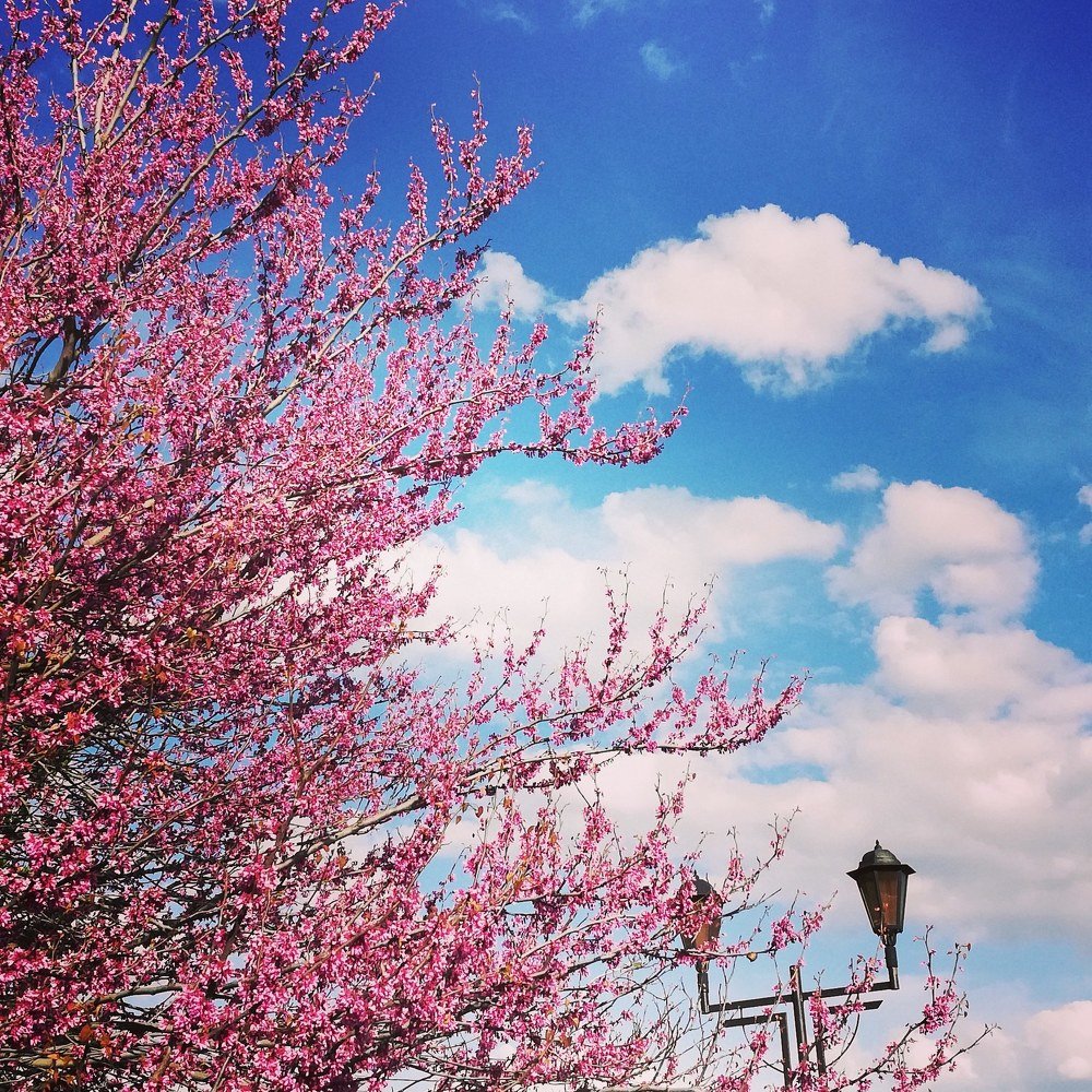 Photograph by Егор Лузан