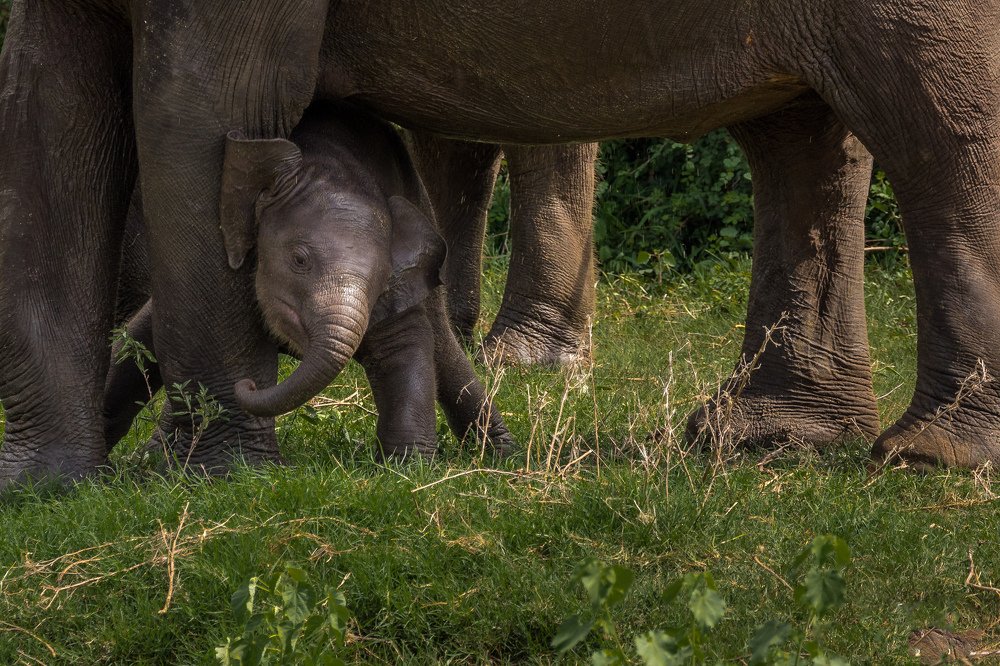 Photograph by Ranley Evarts