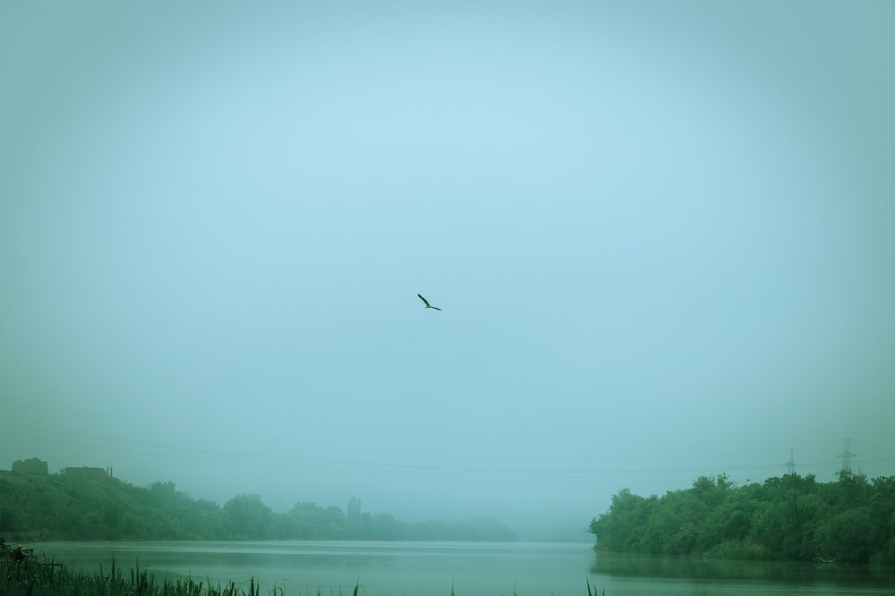 Photograph by Елена Власова