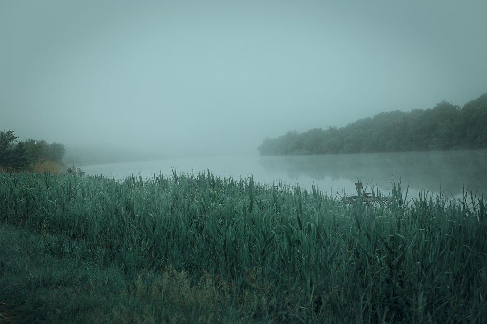 Photograph by Елена Власова