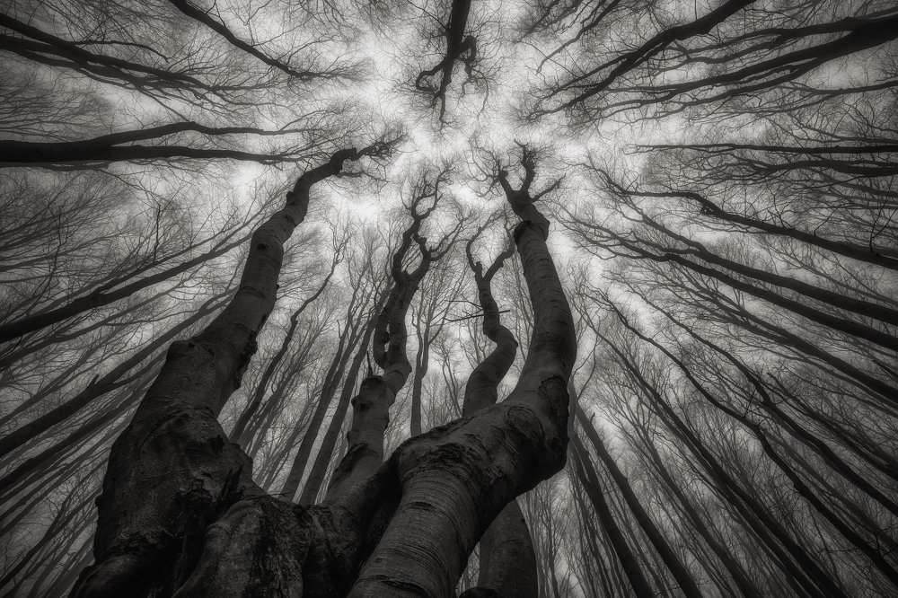 Photograph by Костадин Маджаров