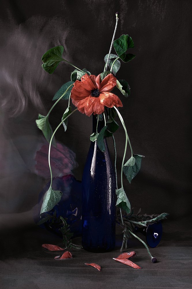 Photograph by Лариса Процкова