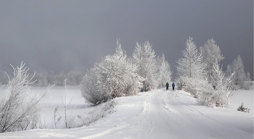 Photograph by Александр Попов
