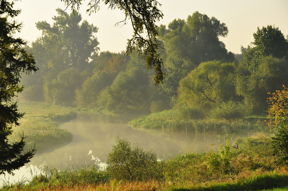 Фотография автора Антип