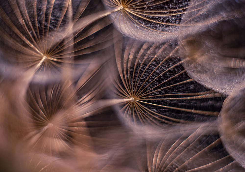 Photograph by Марина Тихонова