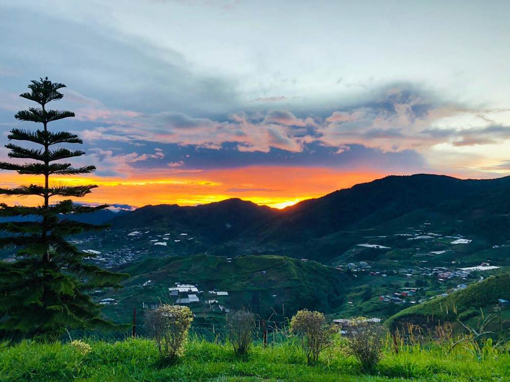 Фотография автора Hepzibah