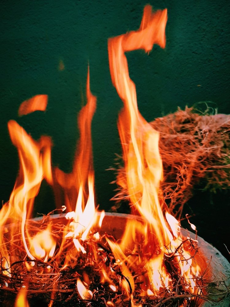 Фотография автора Hepzibah