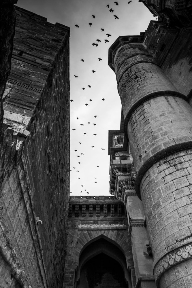 Bird strikes the fort.