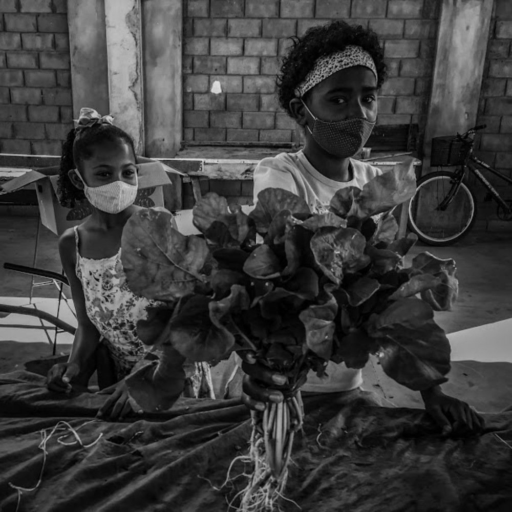 PANDEMIA COTIDIANO HISTÓRIA