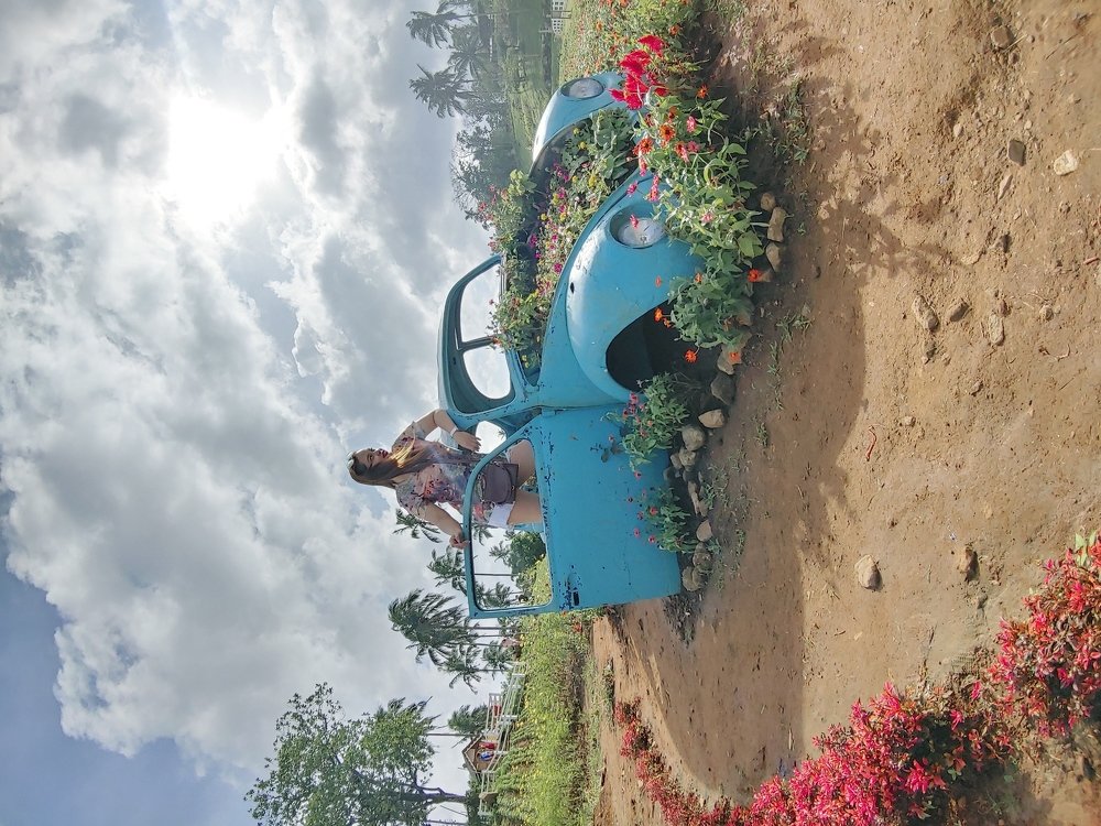 Photo #4676033