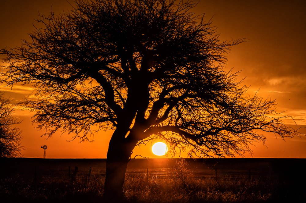 Photograph by Gustavo Moroz