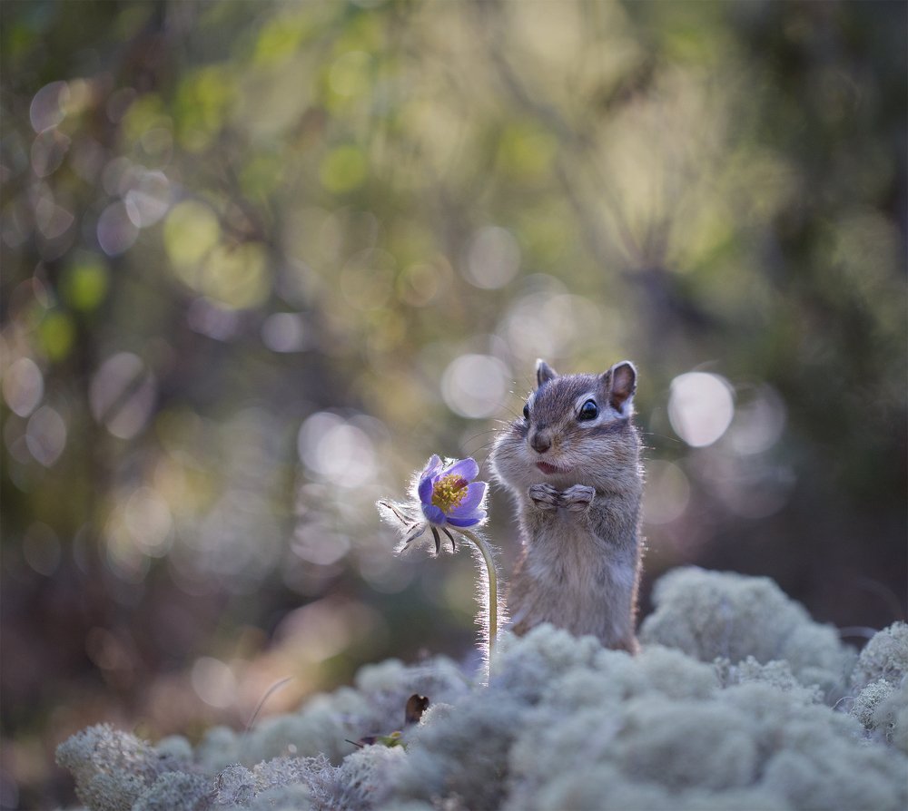 Photograph by Евгения Левина