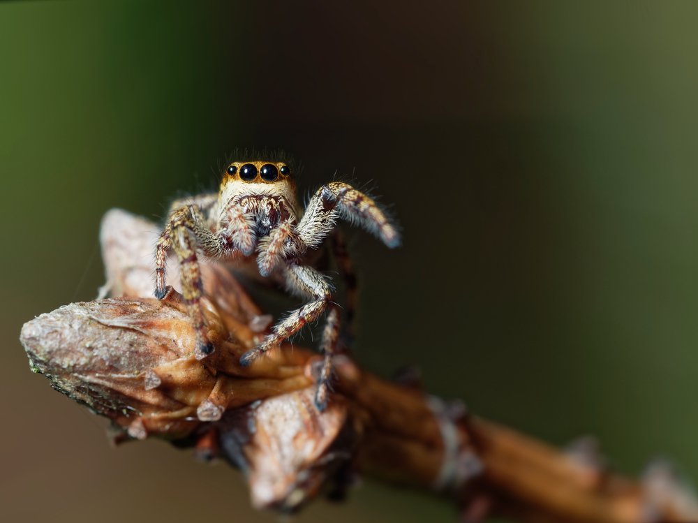 Photograph by Глебов Максим