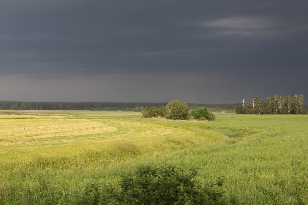 Фотография автора Наталья Васько -Черданцева