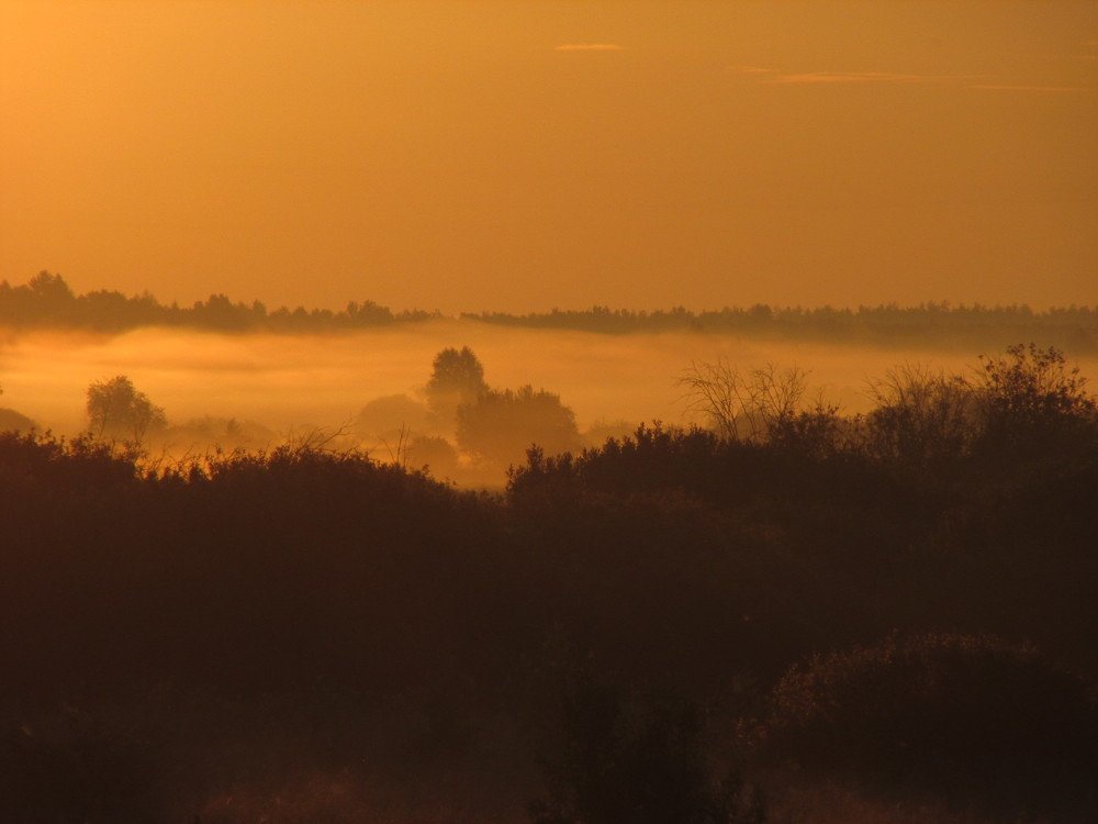 Photo #4676175