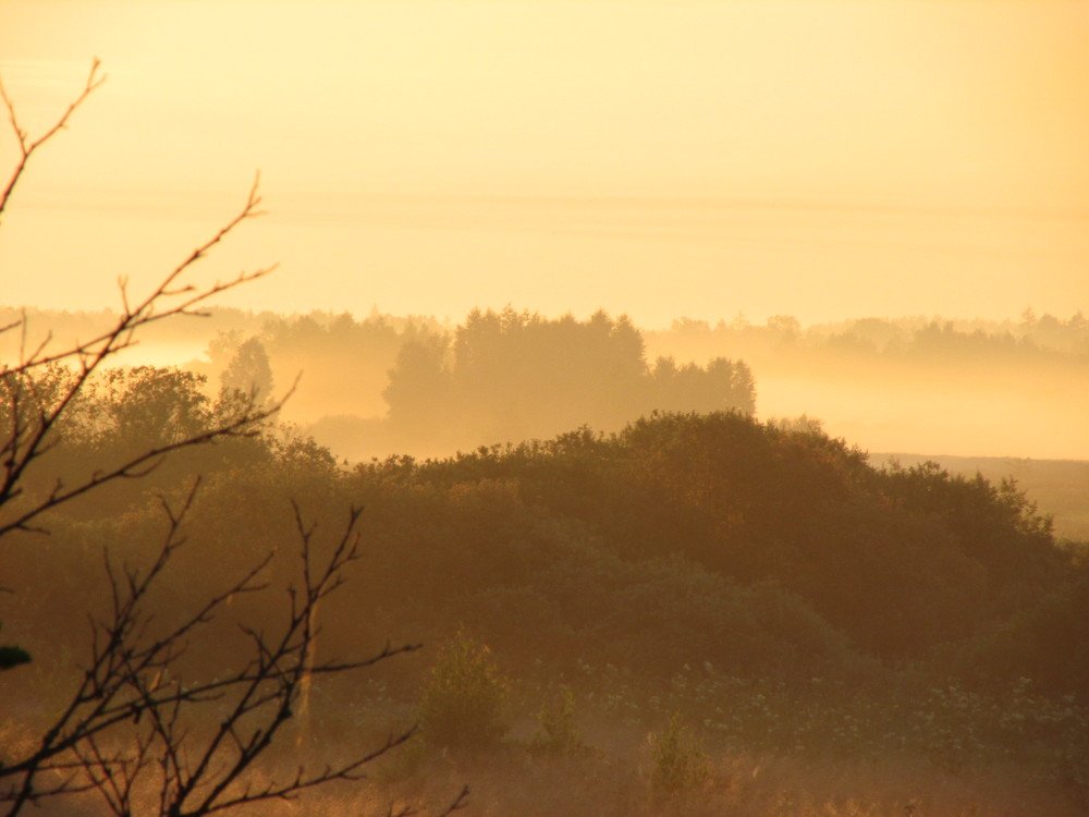 Photo #4676177
