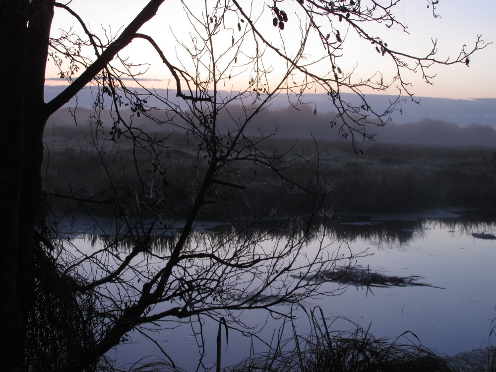 Photo #4676179