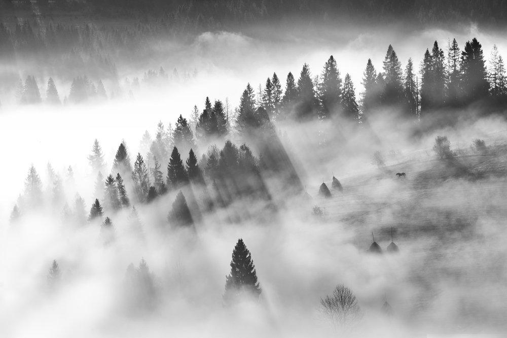 Photograph by Крицак Ольга