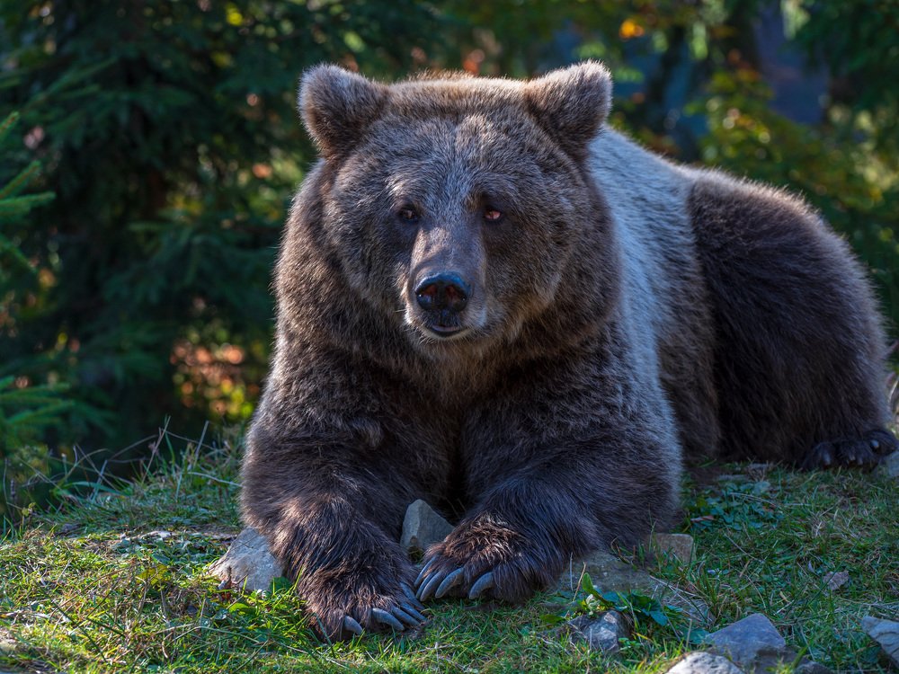 Photograph by Крицак Ольга