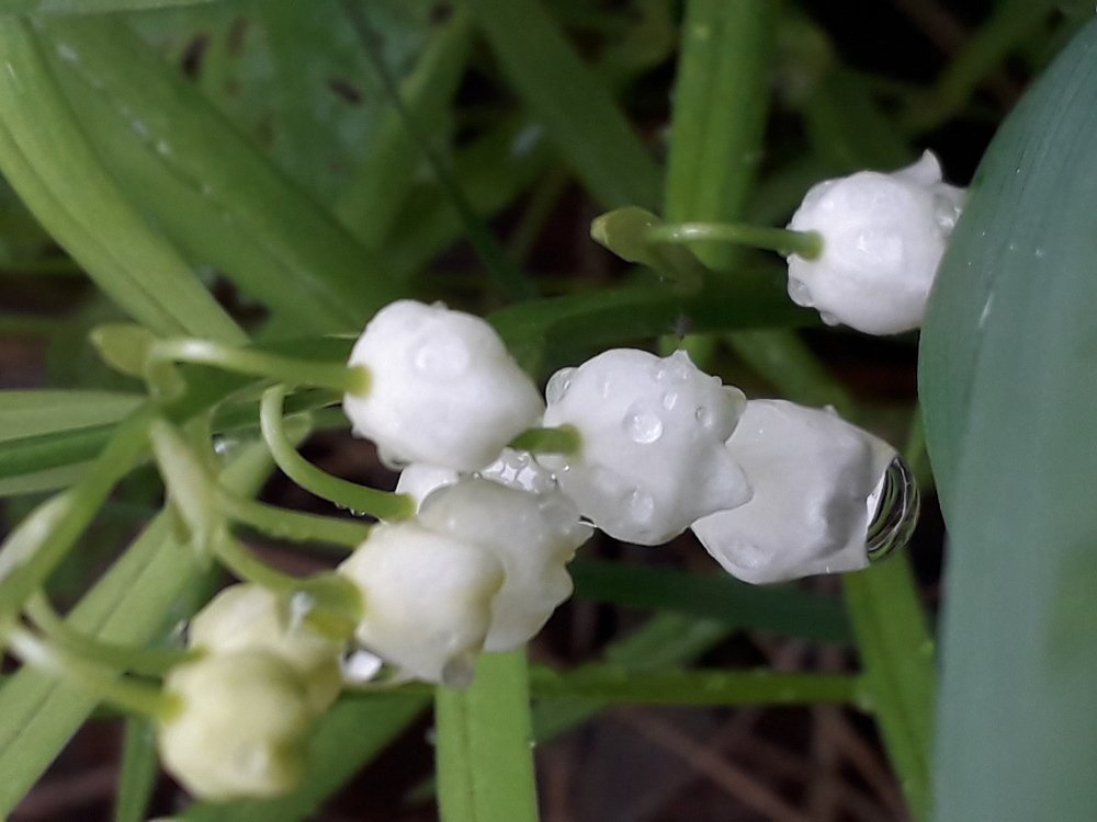 Photograph by Валерий