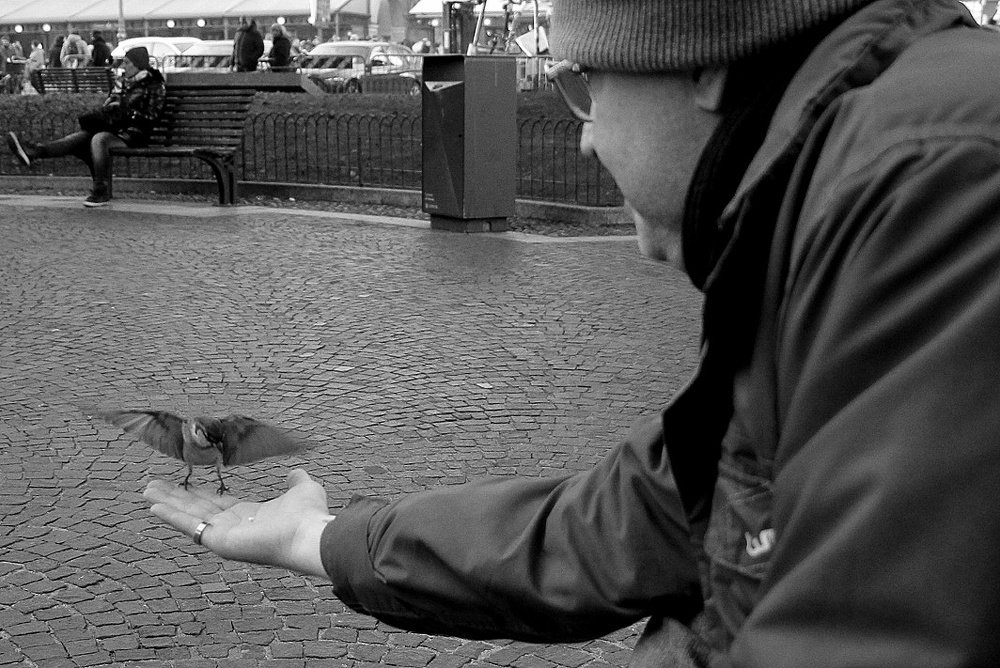 Photograph by ANTONIO LAFAIETE PAPAIANO