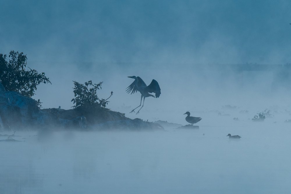 Photograph by Suman Paul