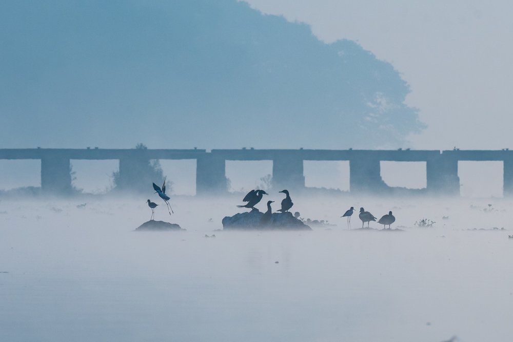 Photograph by Suman Paul