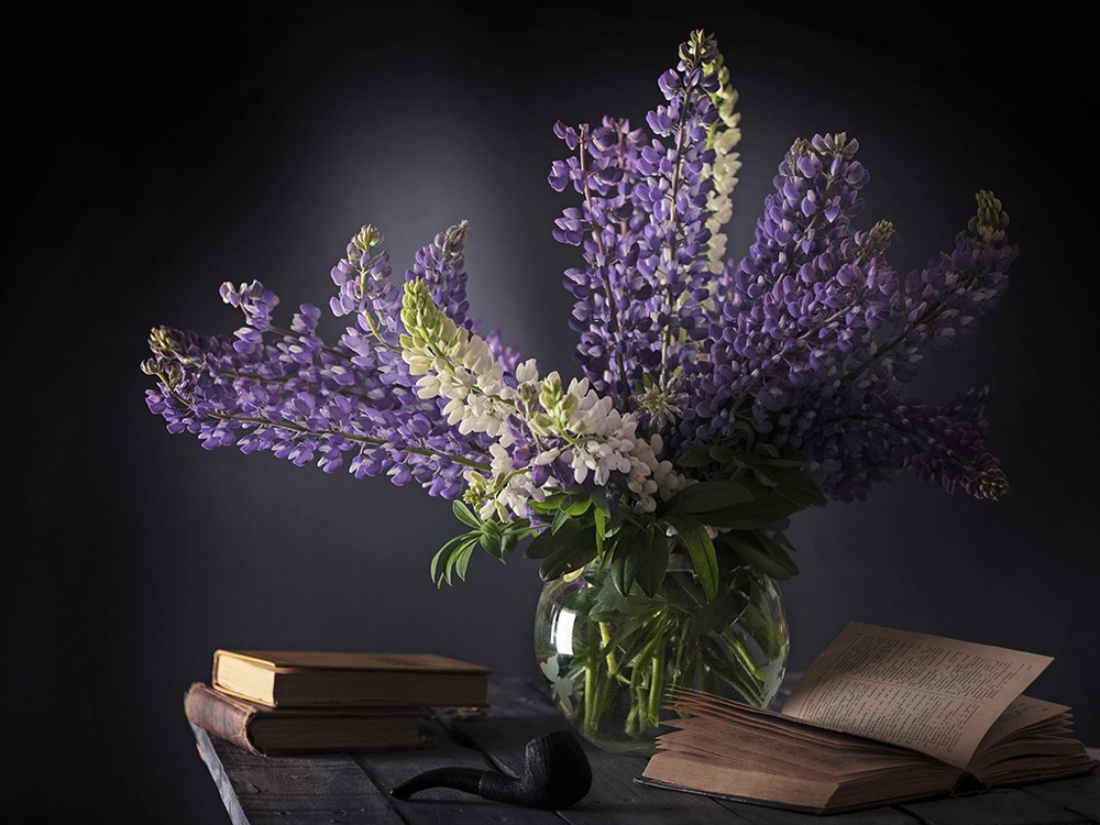 Photograph by Оксана Клименкова