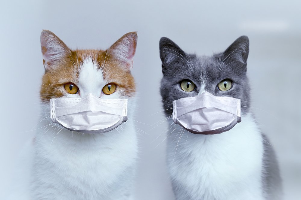 Photograph by Natalya Chumak