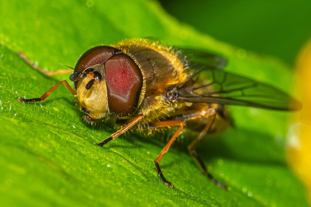 Photograph by Владимир Крышковец