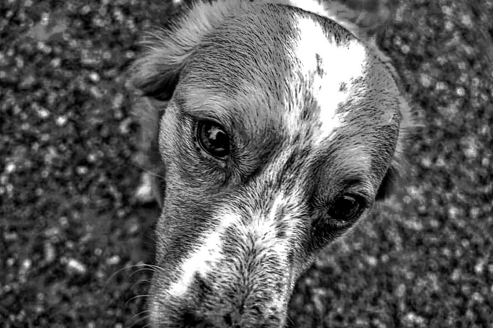 Photograph by SIMONE CIULLI