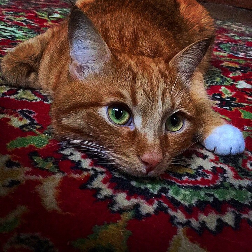 Photograph by Василиса Канакова