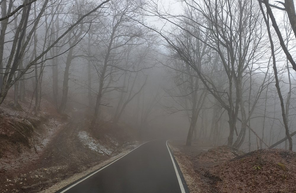 Photograph by Куликова Ирина