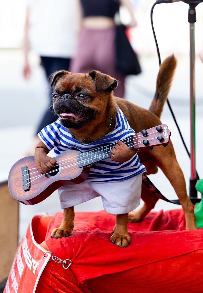 Уличный артист