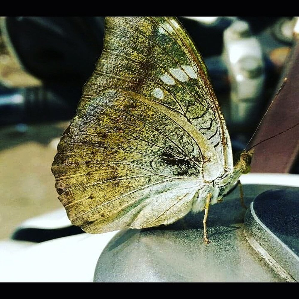 Photograph by Darshan Patil