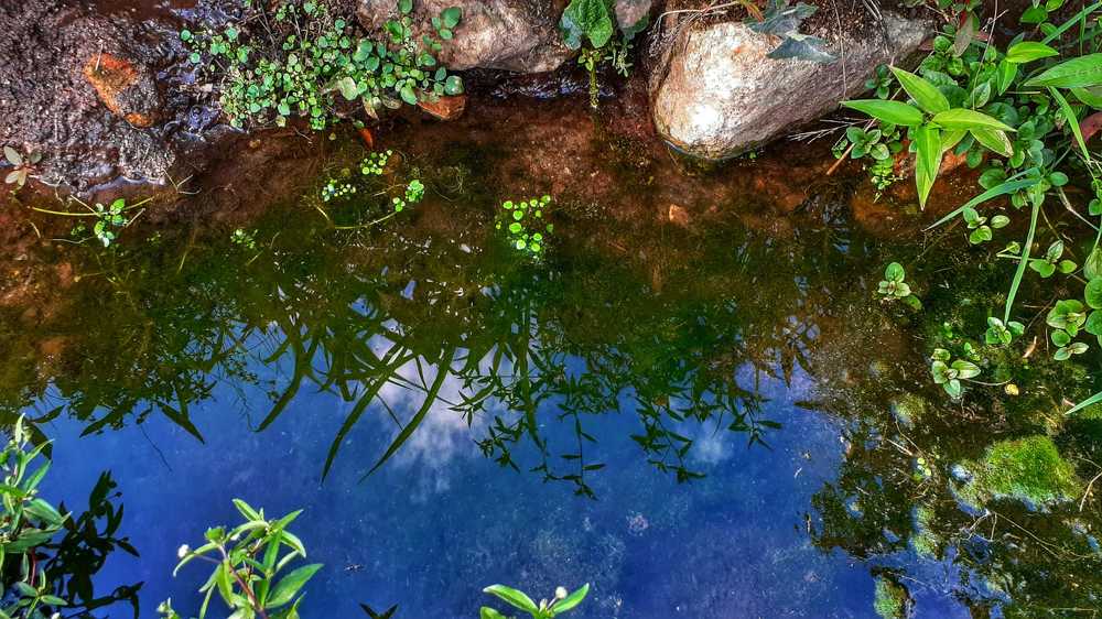 Photograph by Lady Thalia Rodríguez Mejía