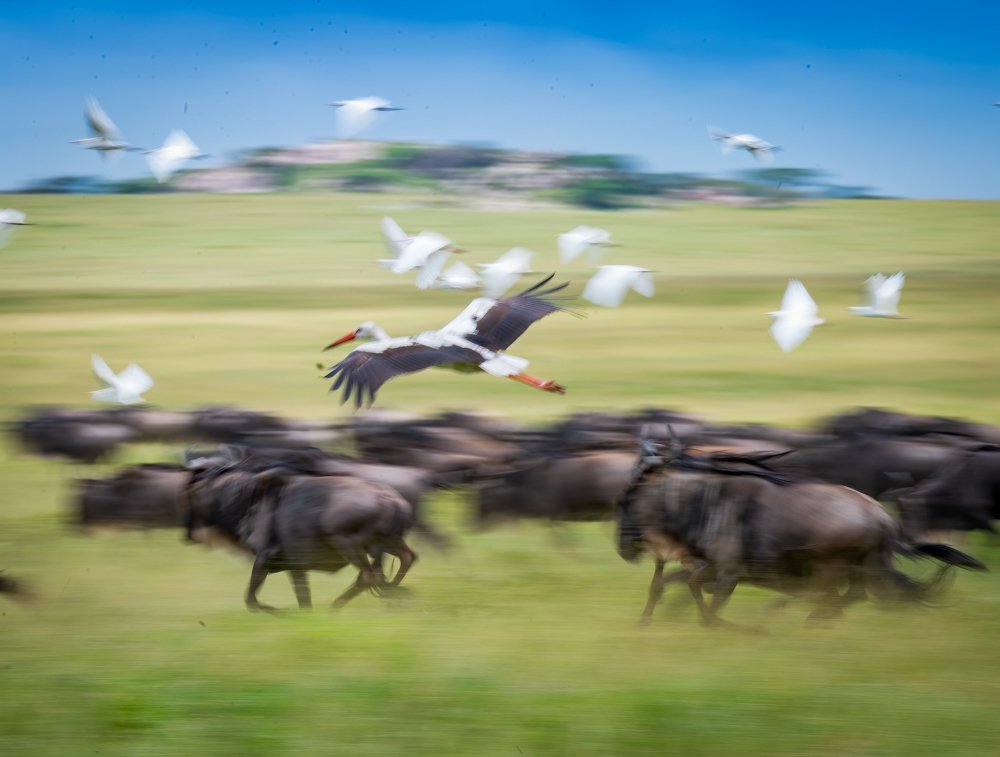 Photograph by YARON SCHMID