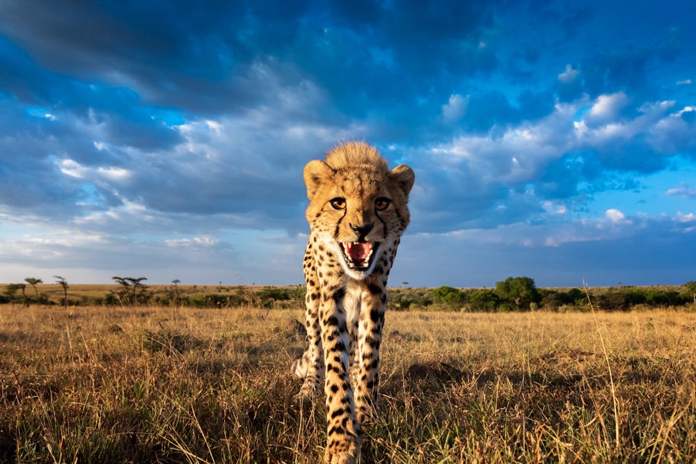 Photograph by YARON SCHMID