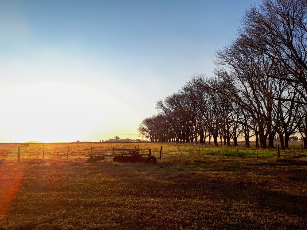 Photo #4677031