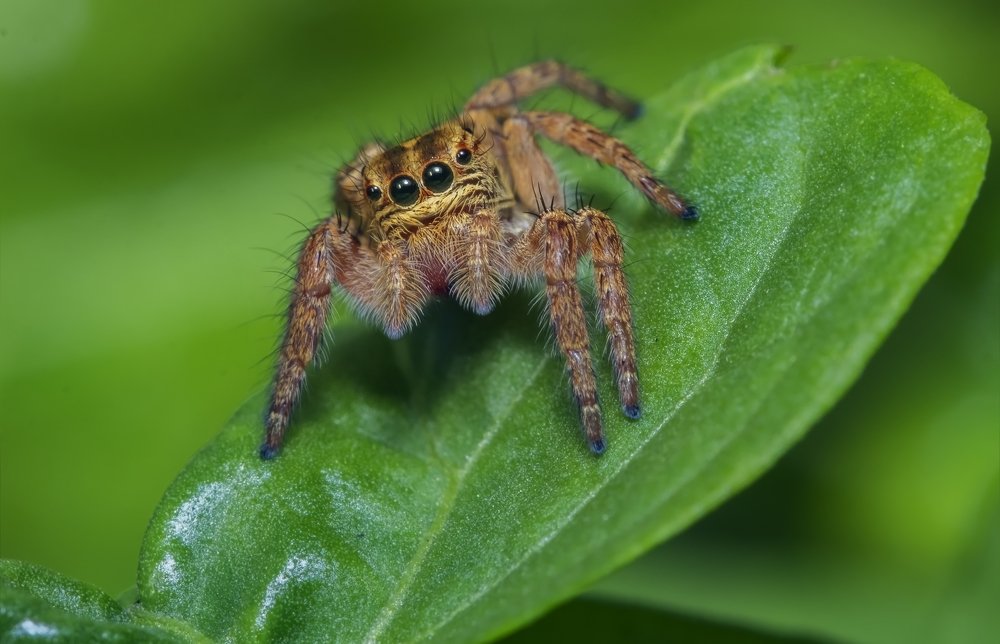 Photograph by Souvick Mukherjee