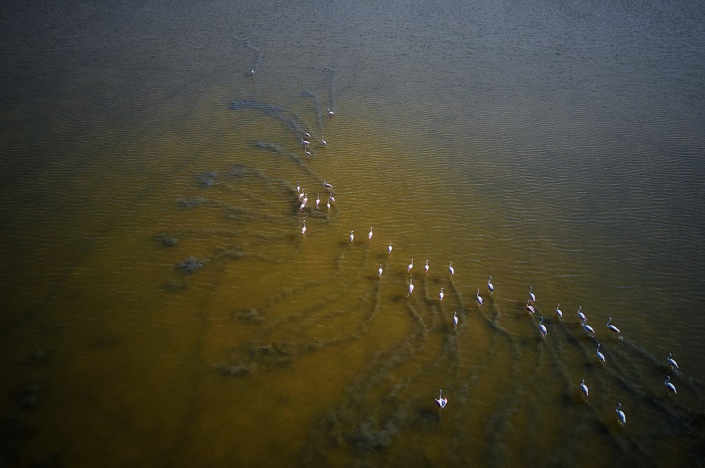 Photograph by Boris Bekelman